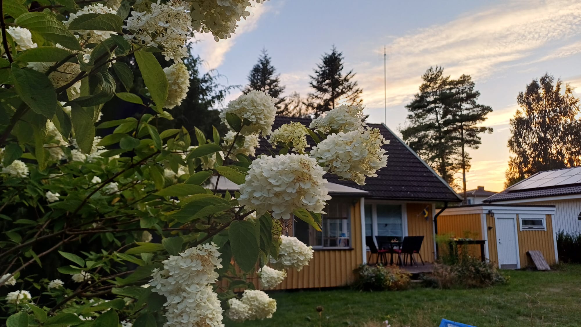 Küche mit Essbereich